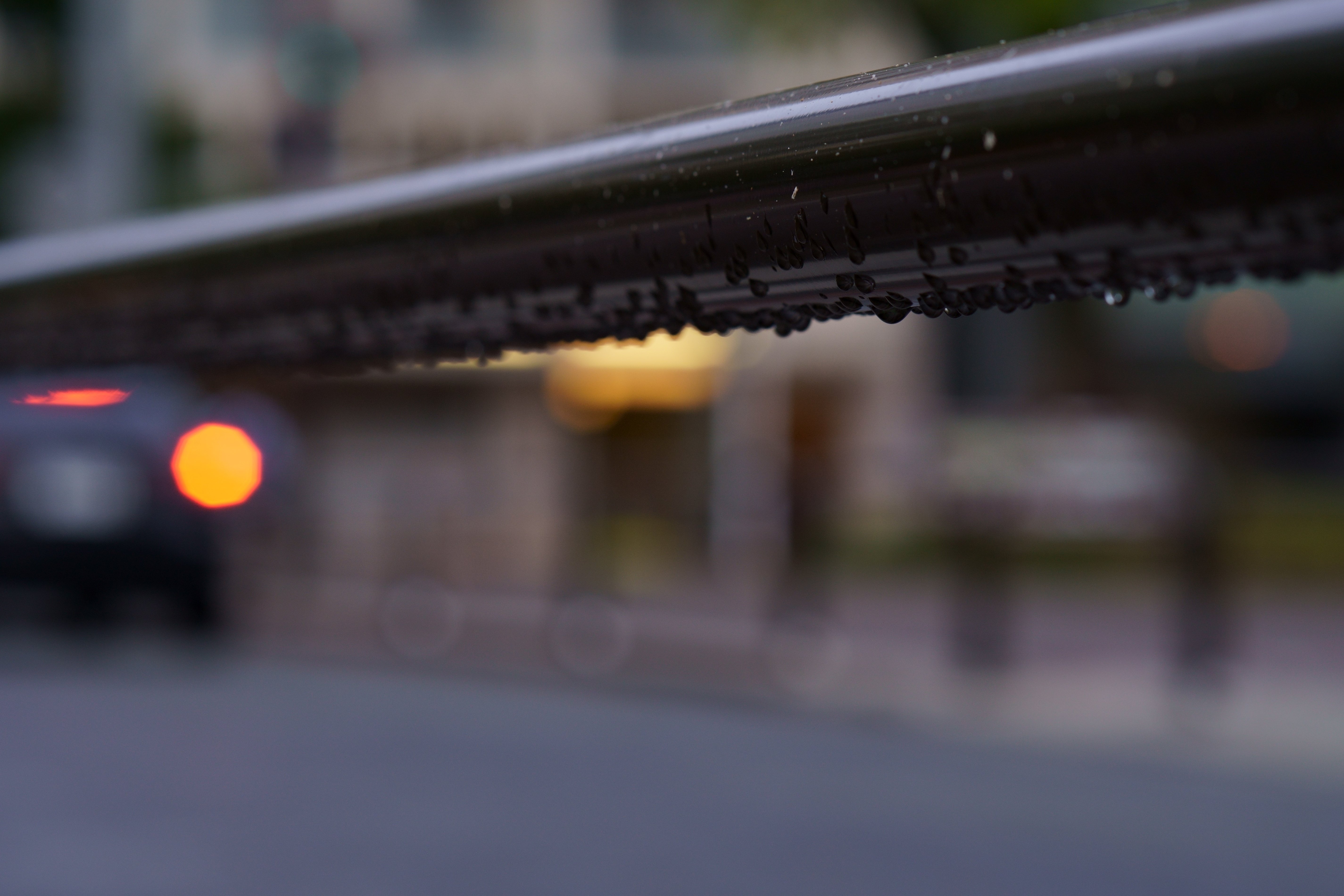 Zeiss Batis 85mm F1.8 辛口レビュー｜sunbrias_photo