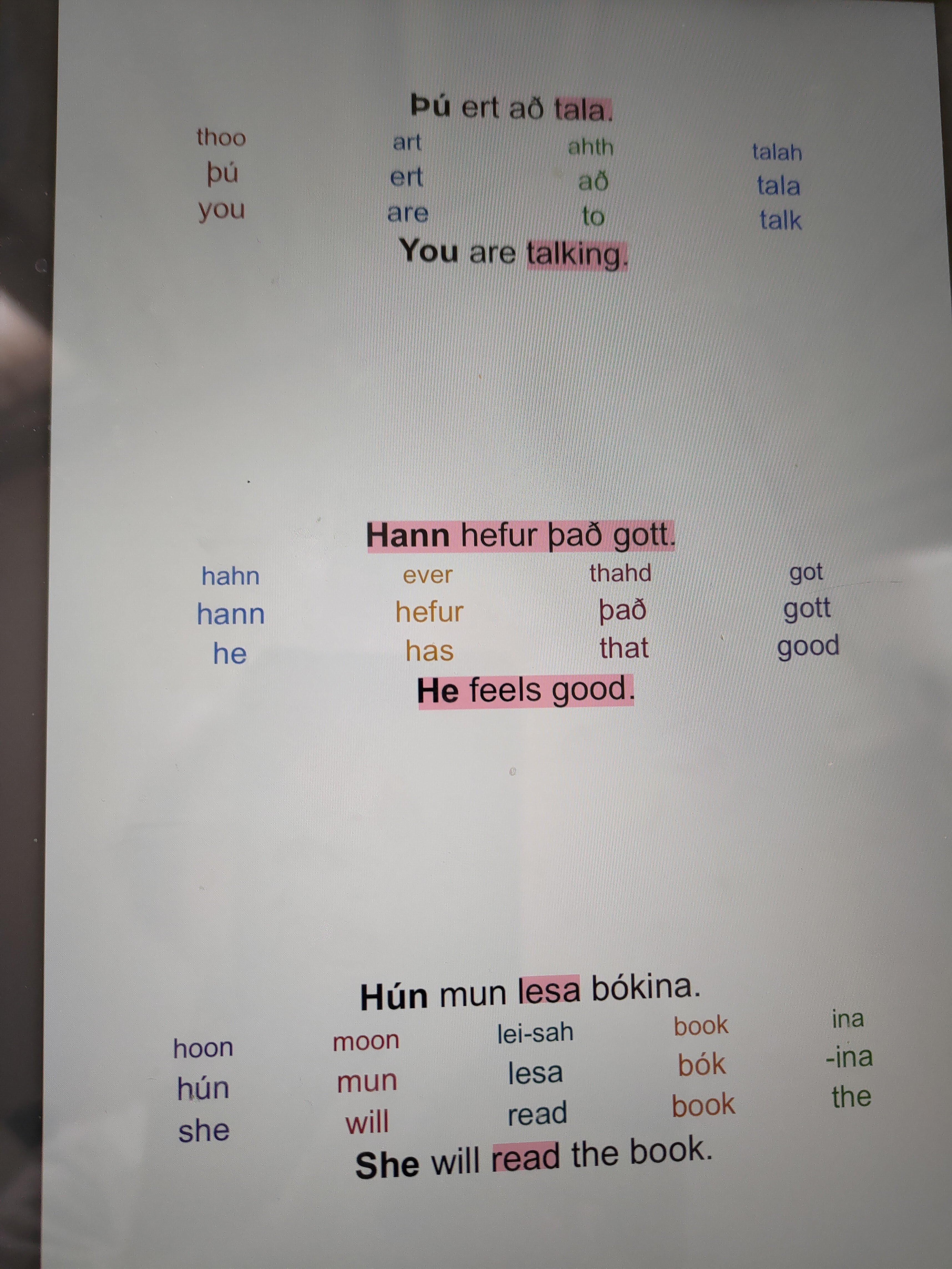 アイスランド語 勉強本 ☆英語版 洋書 icelandic テキスト