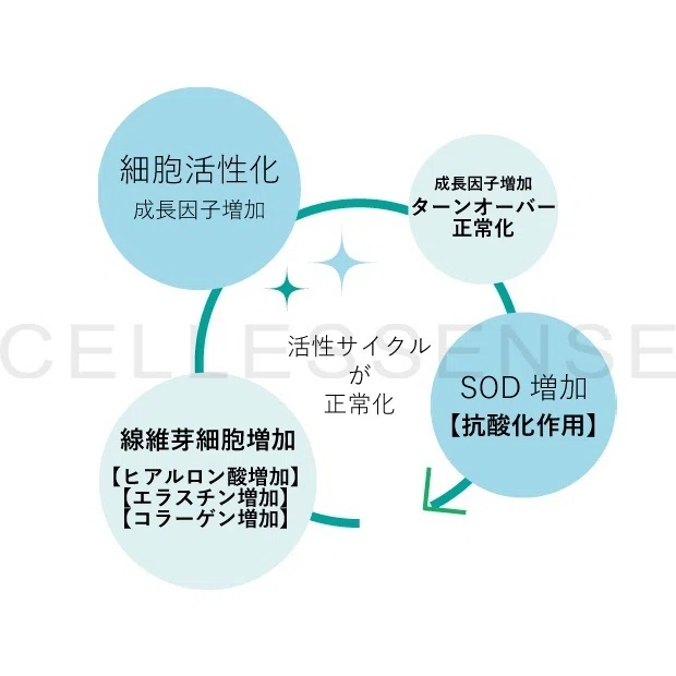ヒト歯髄細胞順化培養液についてⅢ｜cellessense