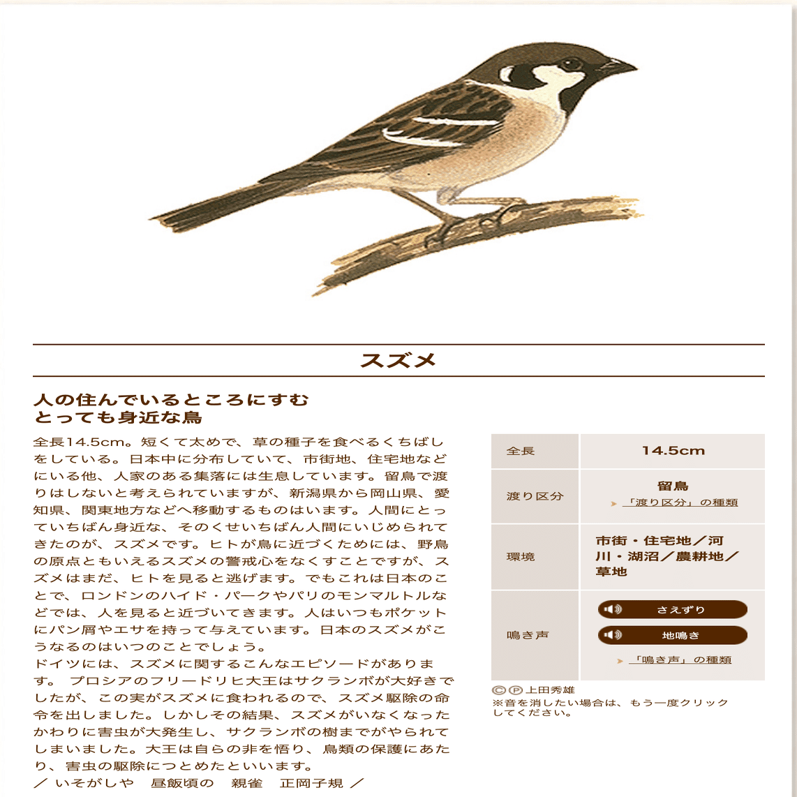 スズメはまねっこが得意 街歩きがちょっとたのしくなる野鳥のひみつ 愛鳥週間 森に あう サントリー 天然水の森