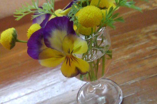 花ほたる の新着タグ記事一覧 Note つくる つながる とどける 花ほたる の新着タグ記事一覧 Note つくる つながる とどける