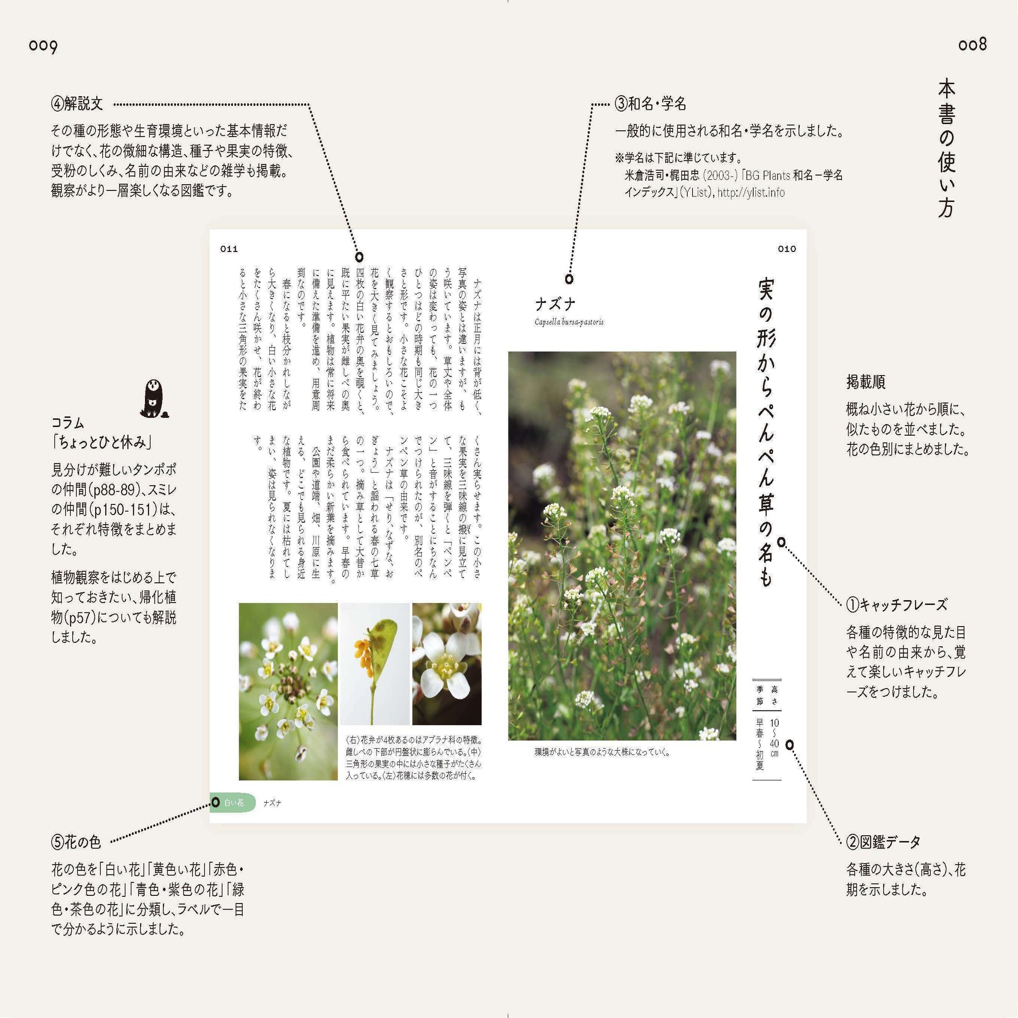 雑草の花にも名前がある 街角を彩る花たちの図鑑 ヤマケイの本 Note