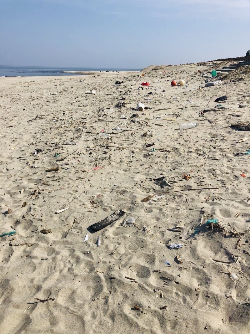 外国のどこかの浜辺じゃなくて、日本の浜辺ですよ〜。近年はオフシーズンは常にゴミだらけです。