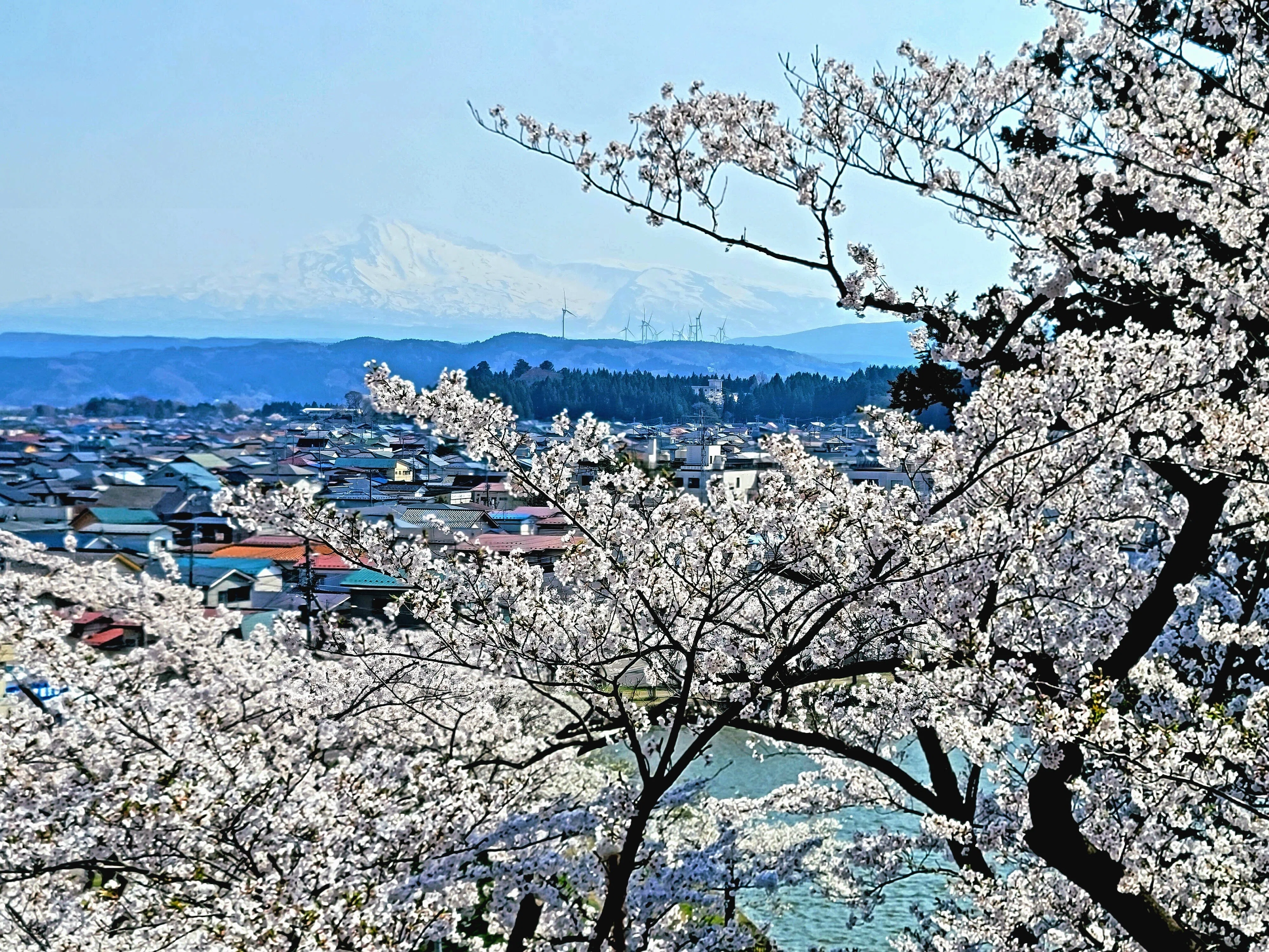 車中泊で、桜🌸と日本一周。34県目・秋田編。「Any bad kids?」 桜と