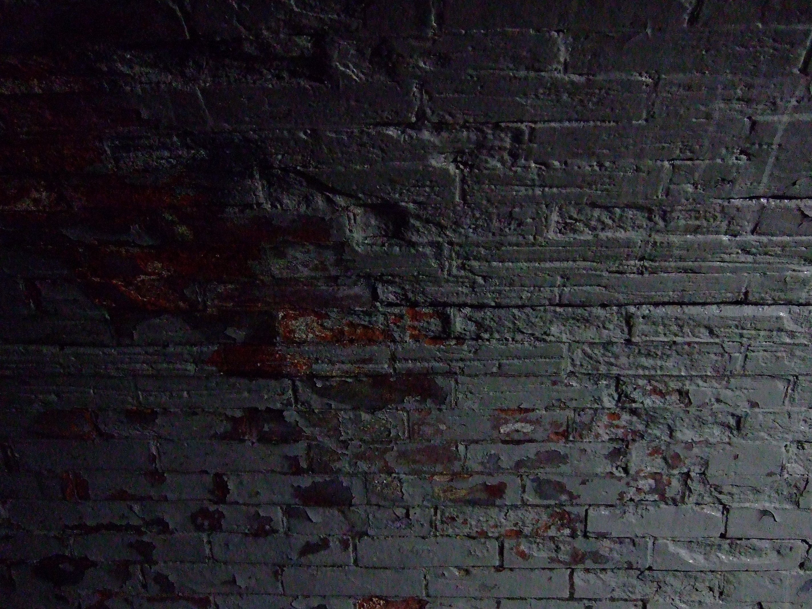 2006年のコンデジでこんな夜景が撮れるなんて(FinePix F30)｜夢望庵