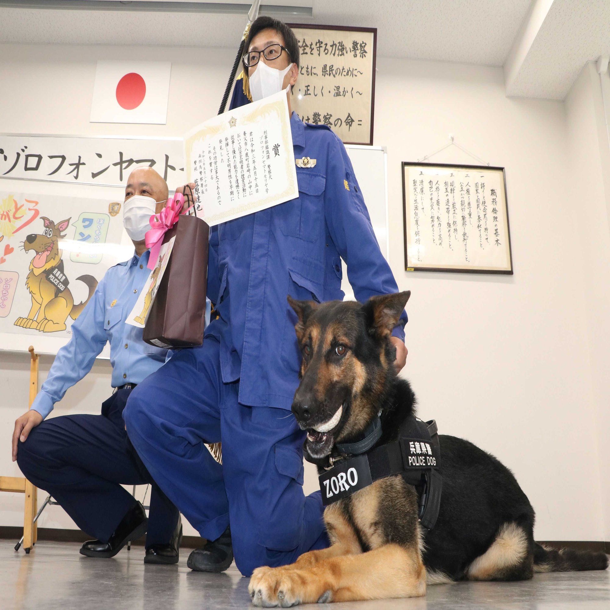 かすかな臭いを手がかりに 警察犬の世界 神戸新聞公式 うっとこ兵庫