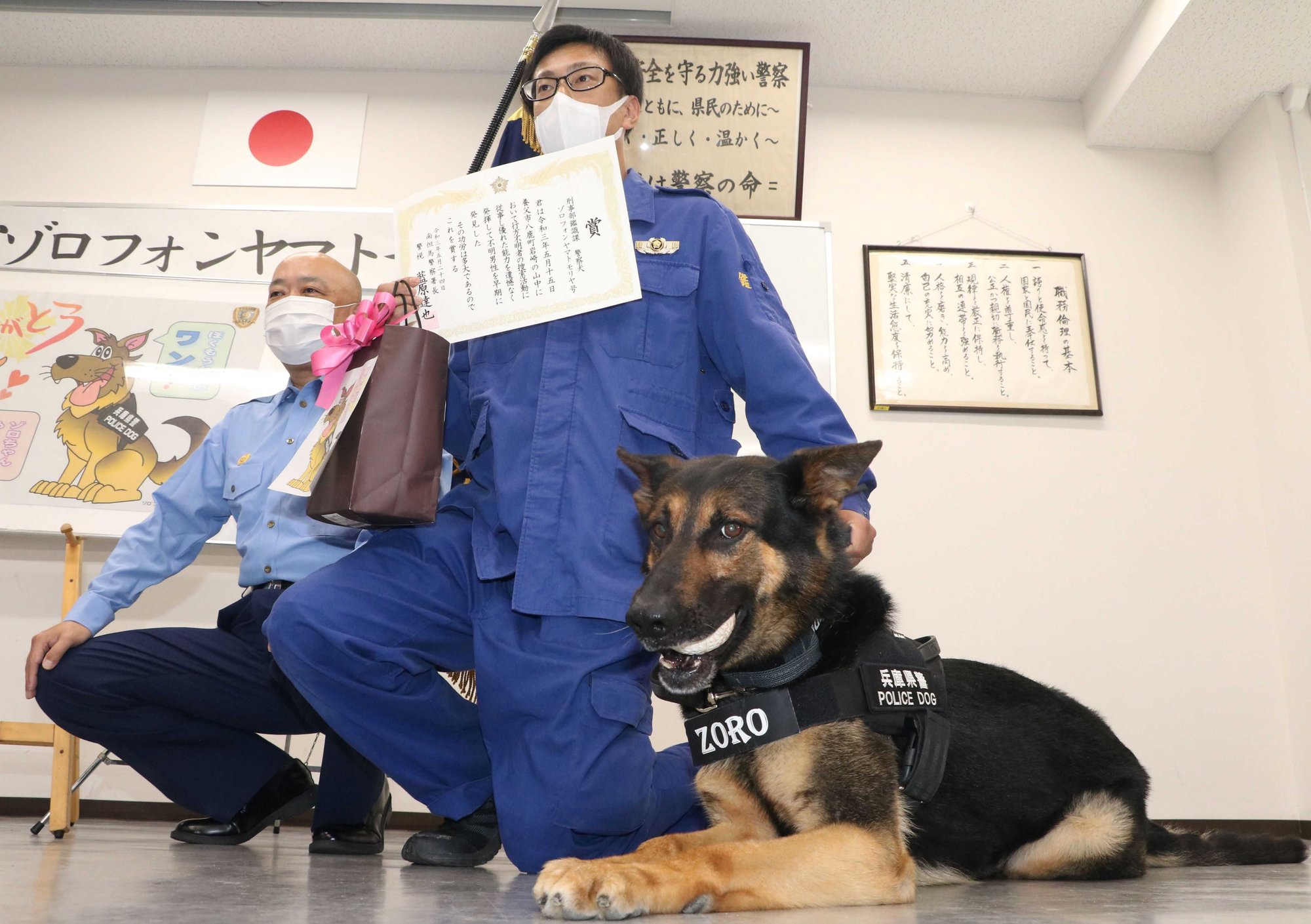 かすかな臭いを手がかりに 警察犬の世界 神戸新聞公式 うっとこ兵庫 かすかな臭いを手がかりに 警察犬の世界 神戸新聞公式 うっとこ兵庫