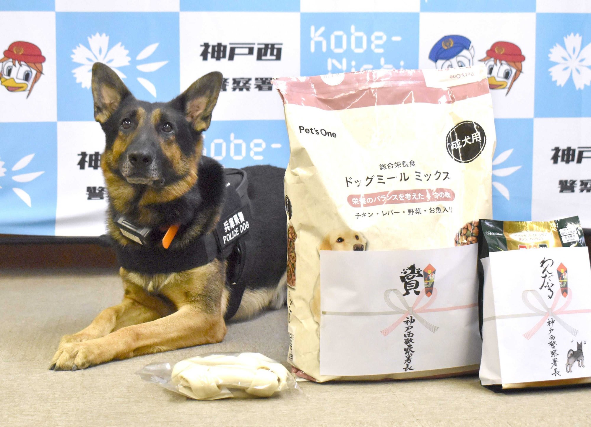 かすかな臭いを手がかりに 警察犬の世界 神戸新聞公式 うっとこ兵庫
