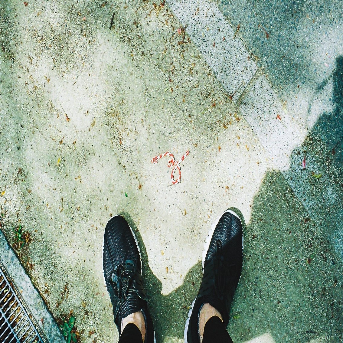 １ヶ月間 下を向いて歩いてみた ポートワシントン 笠谷 Note