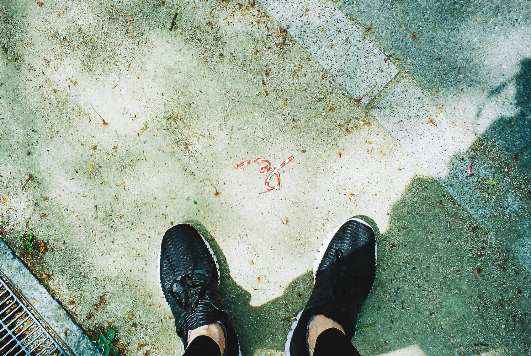 1ヶ月間 下を向いて歩いてみた ポートワシントン 笠谷 Note 1ヶ月間 下を向いて歩いてみた ポートワシントン 笠谷 Note