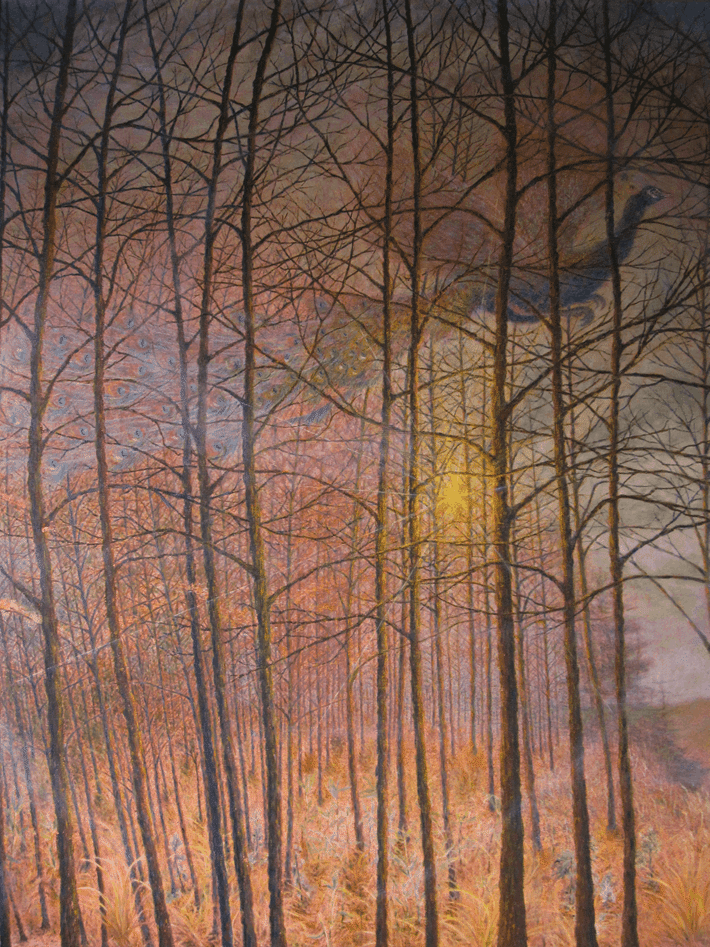 ワタクシ流☆絵解き館その129 孔雀と坂道―こんないい絵が、ひっそりと