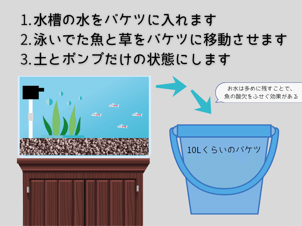 ソイル交換サービス アクアステージ21スナモ店 Note ソイル交換サービス アクアステージ21スナモ店 Note