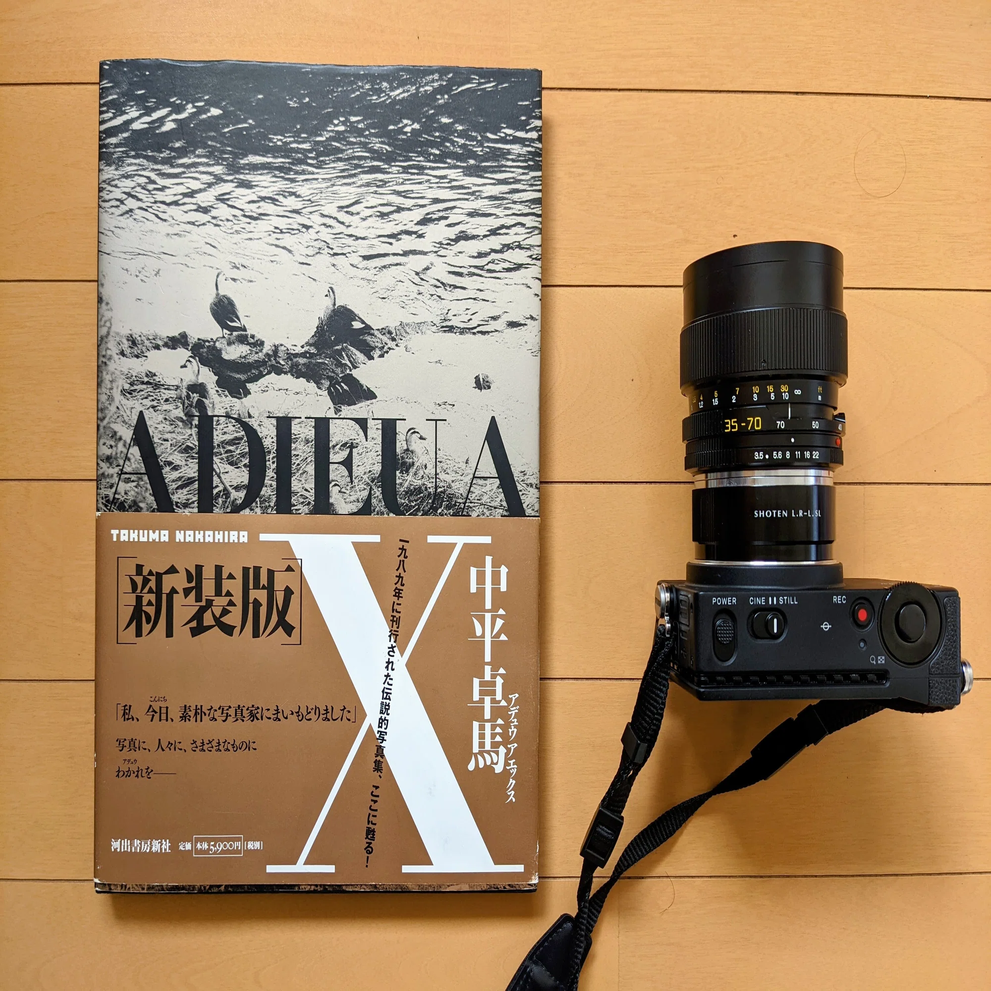 中平卓馬『ADIEU A X』を読んでから撮った写真｜鉄人