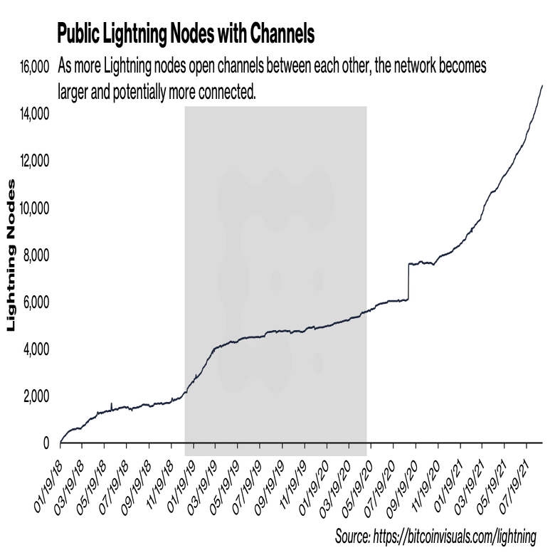 Lightning Networkのメトリクスと攻撃手法｜しゅま