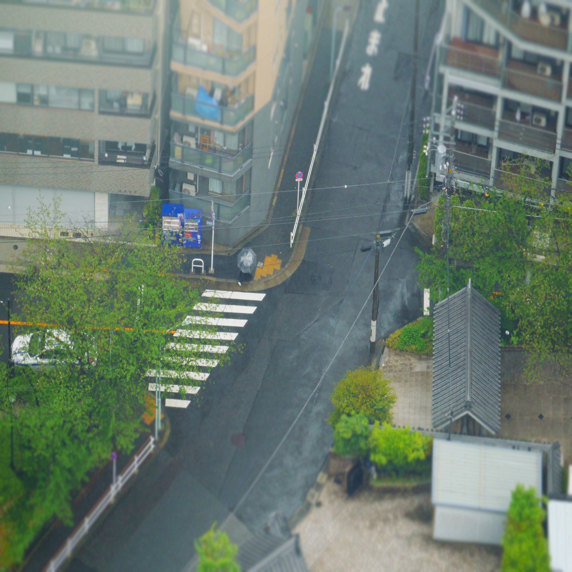 雨の日の展望台も悪くない Ayaka Note