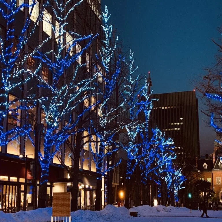 札幌移住２６日目 やっぱり札幌は綺麗 札幌に移住しただんごむし Note