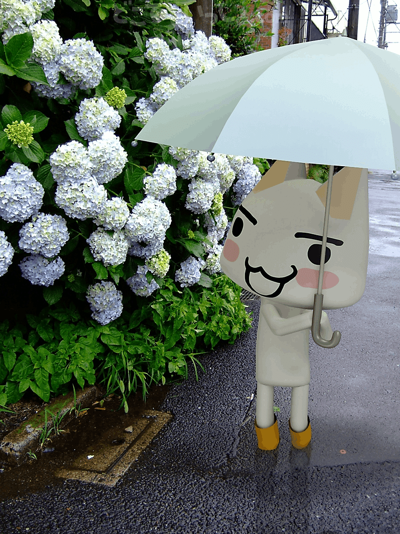 くまさま確認ページ♡ ピンクのクマさん🧸がお手紙💌を運んでくれていた頃🥰｜櫻庭みゆ