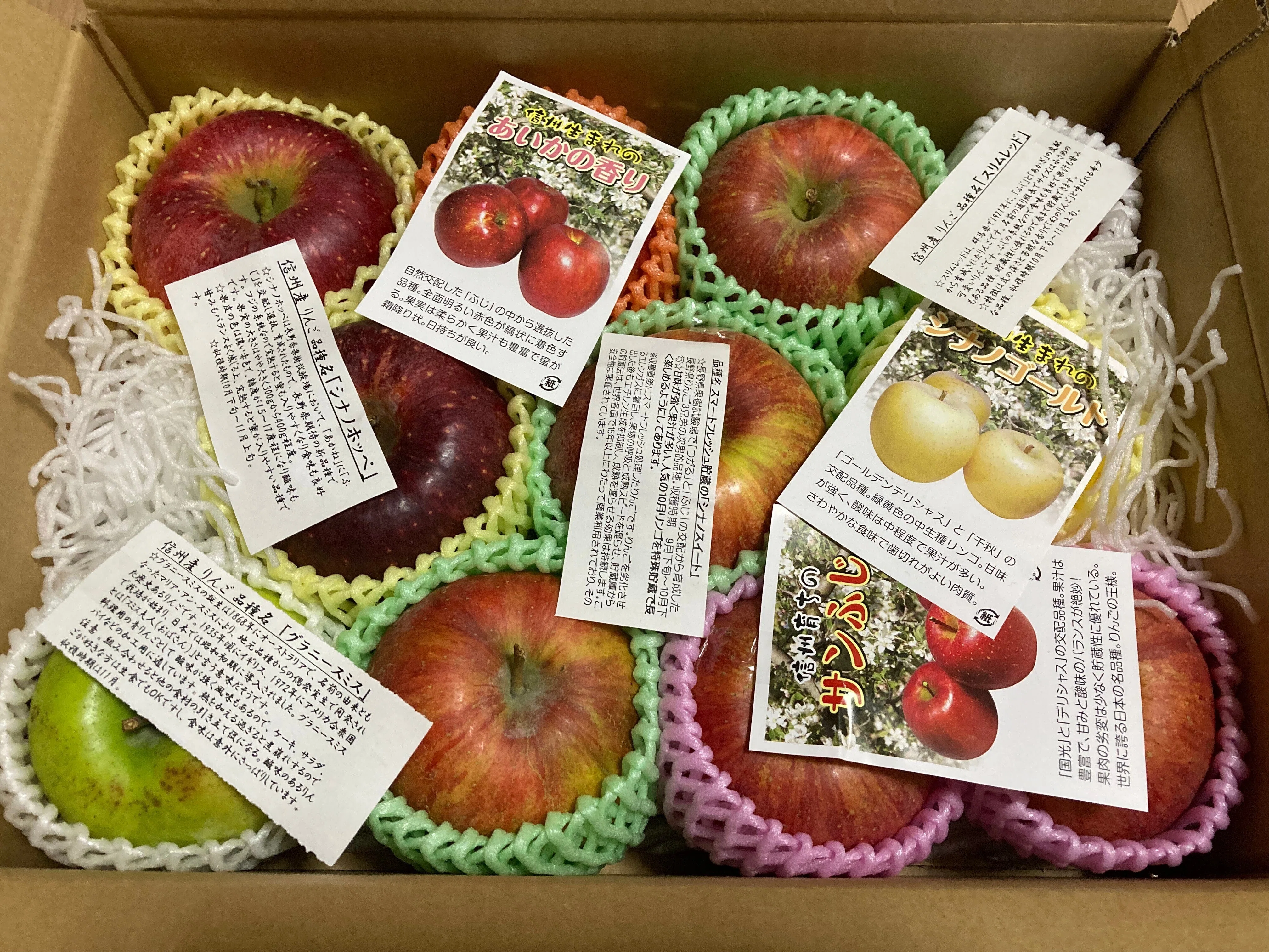 種から始める🍎栽培2：異なる品種探しと、成長記録｜大森 雄貴 / Yuki