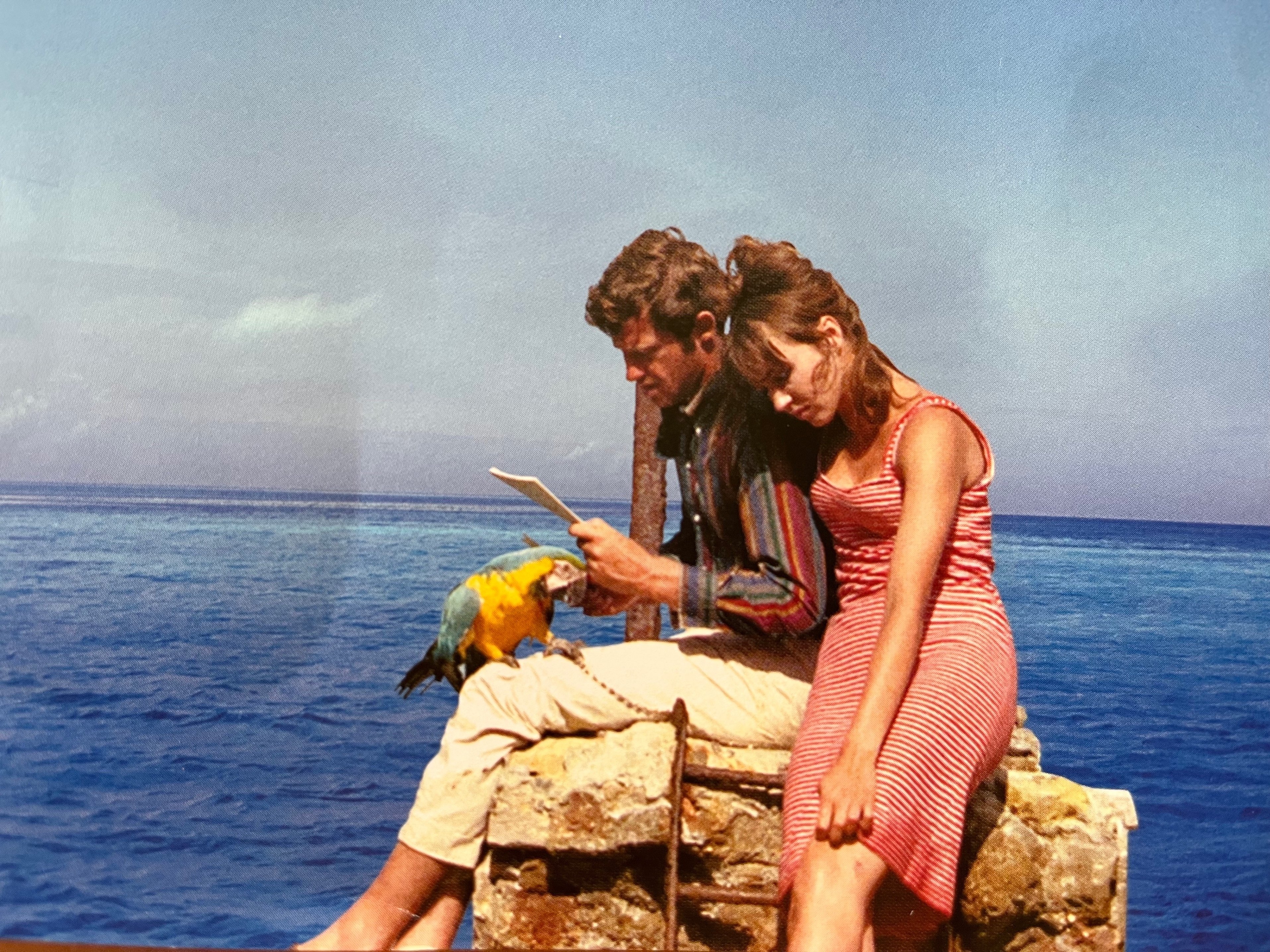 気狂いピエロ再び｜インウェイとスオイ