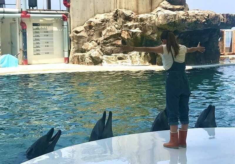 城崎温泉リゾートバイト特集
