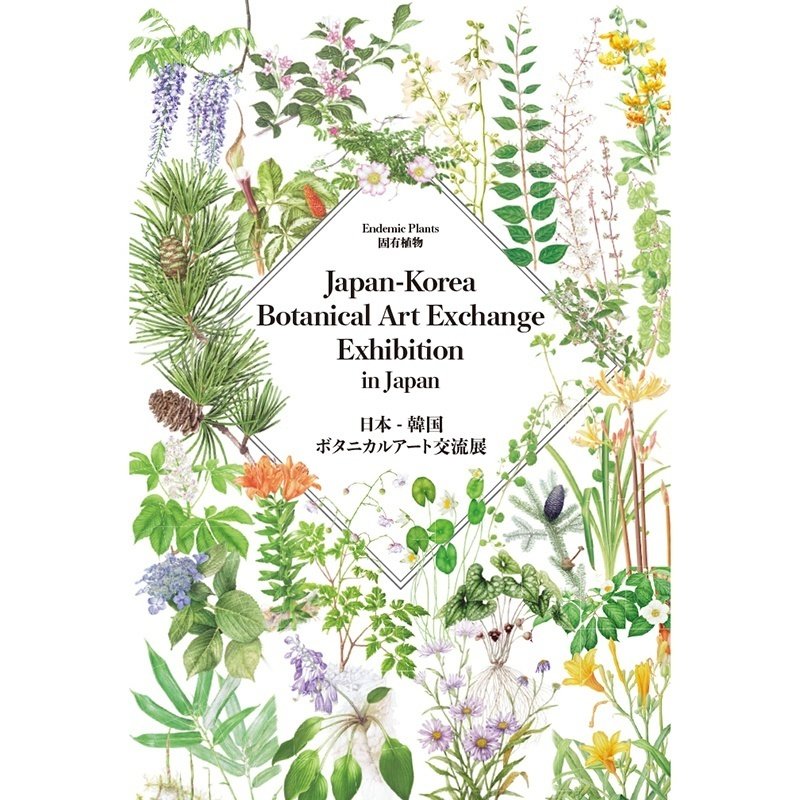 終売品 原寸イラストによる落葉図鑑 96b18c5a 販売 状況 Www Cfscr Com