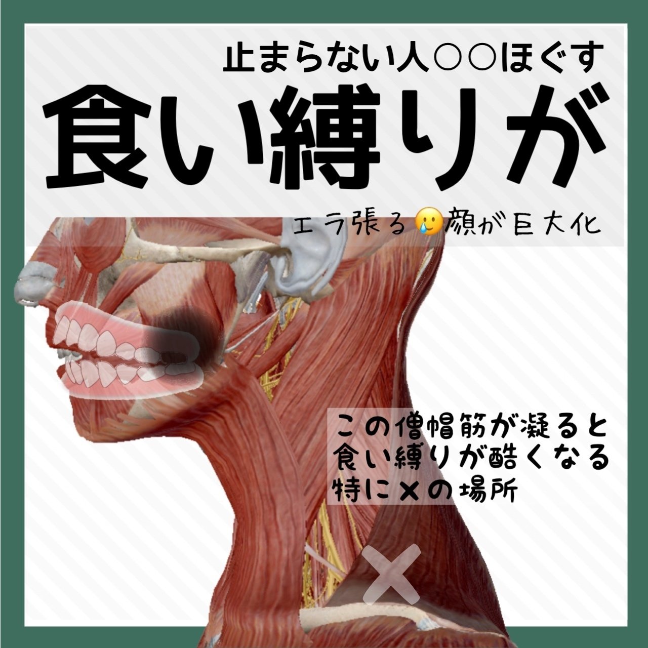 食い縛り無くすには 筋ほぐす お顔の整体師 戸塚哲春 Note