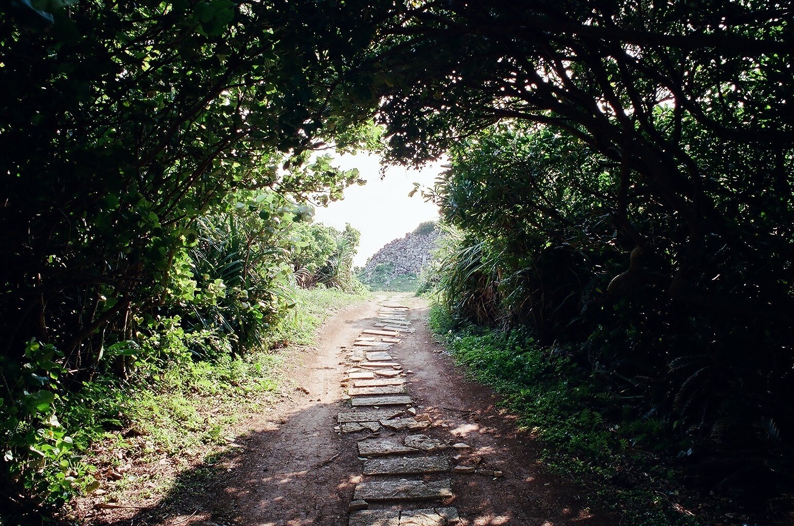 花 ではなく 海と花束 というテーマで作品をつくるとしたら Naoki Note 花 ではなく 海と花束 というテーマで作品をつくるとしたら Naoki Note