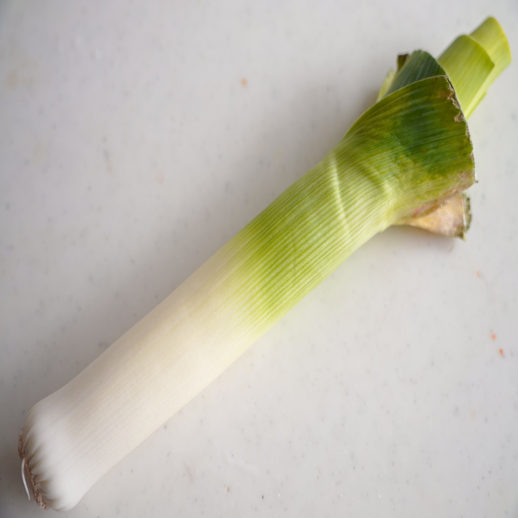 謎野菜シリーズ ポワローネギ ポワローとベーコンのエチュベの作り方 樋口直哉 Travelingfoodlab Note