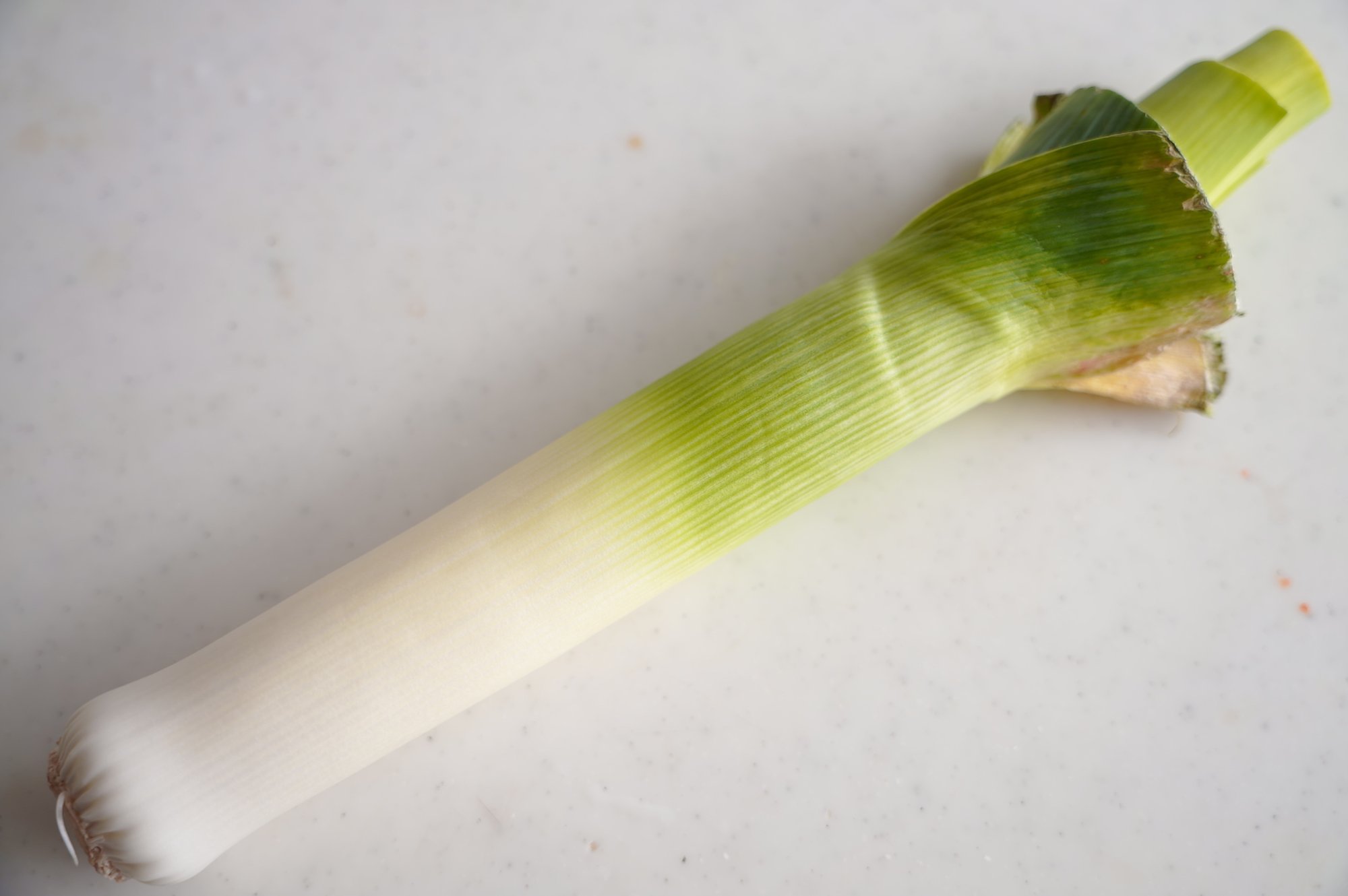 謎野菜シリーズ ポワローネギ ポワローとベーコンのエチュベの作り方 樋口直哉 Travelingfoodlab Note 謎野菜シリーズ ポワローネギ ポワローとベーコンのエチュベの作り方 樋口直哉 Travelingfoodlab Note