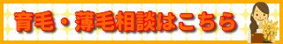 育毛と薄毛のご相談承ります