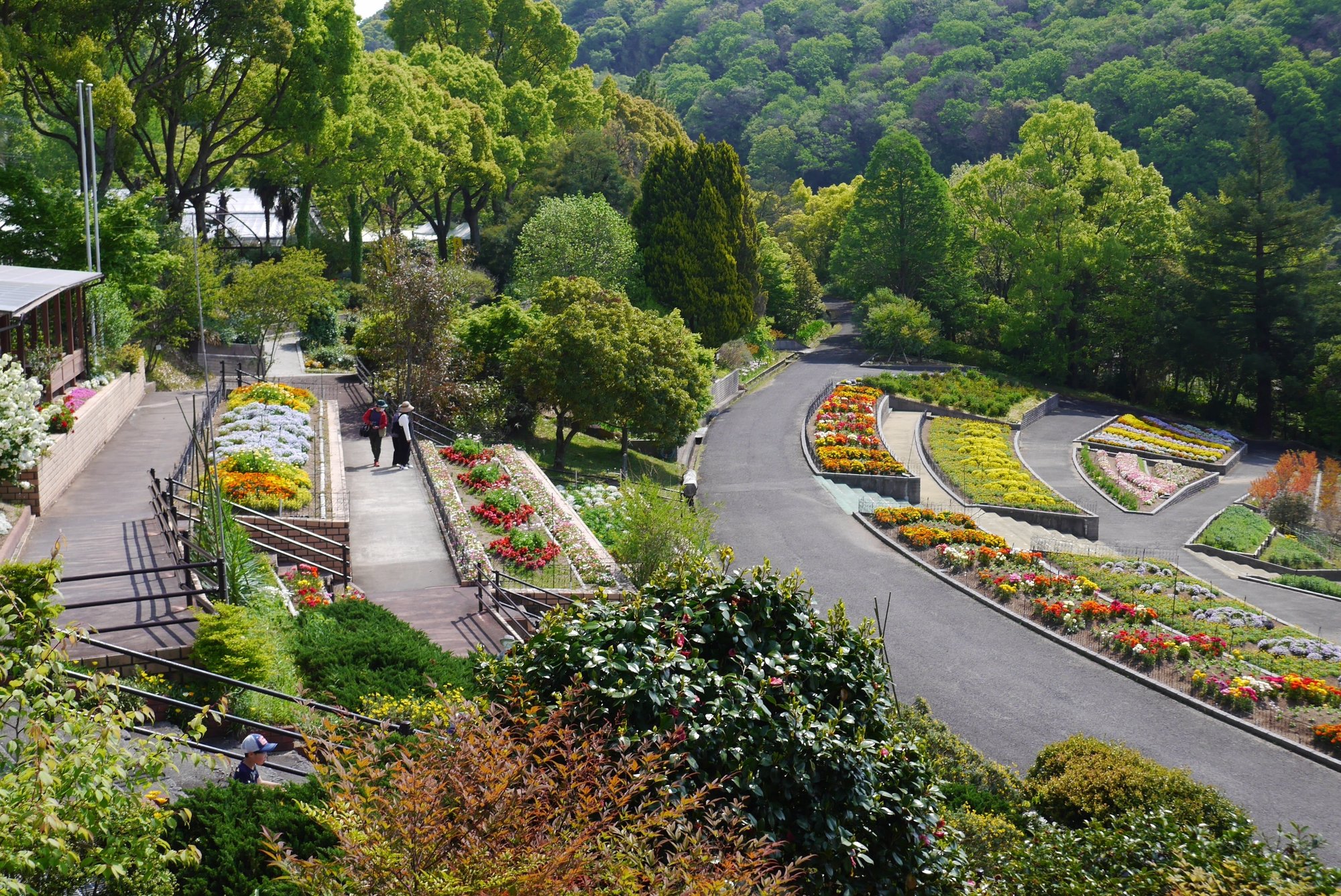 4月23日 緑化センターの花 中岡 はじめ Note 4月23日 緑化センターの花 中岡 はじめ Note