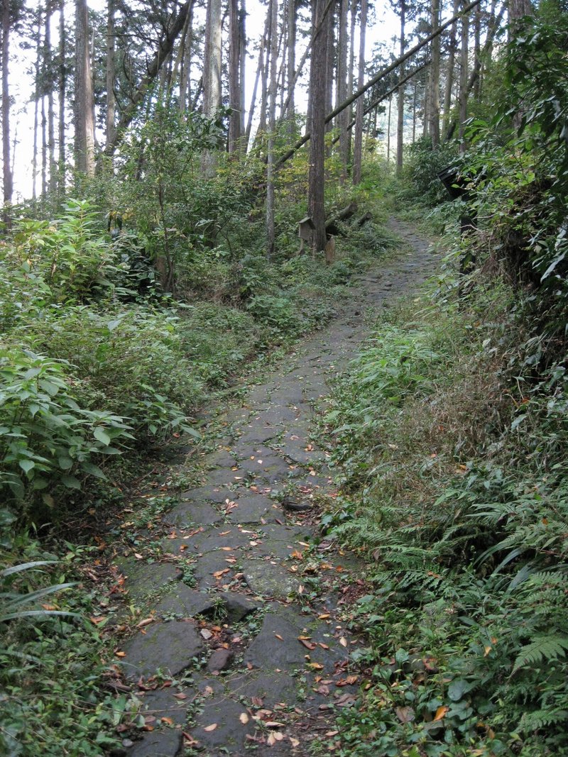 箱根旧街道東坂。江戸期の石畳が残る大澤坂。2009年