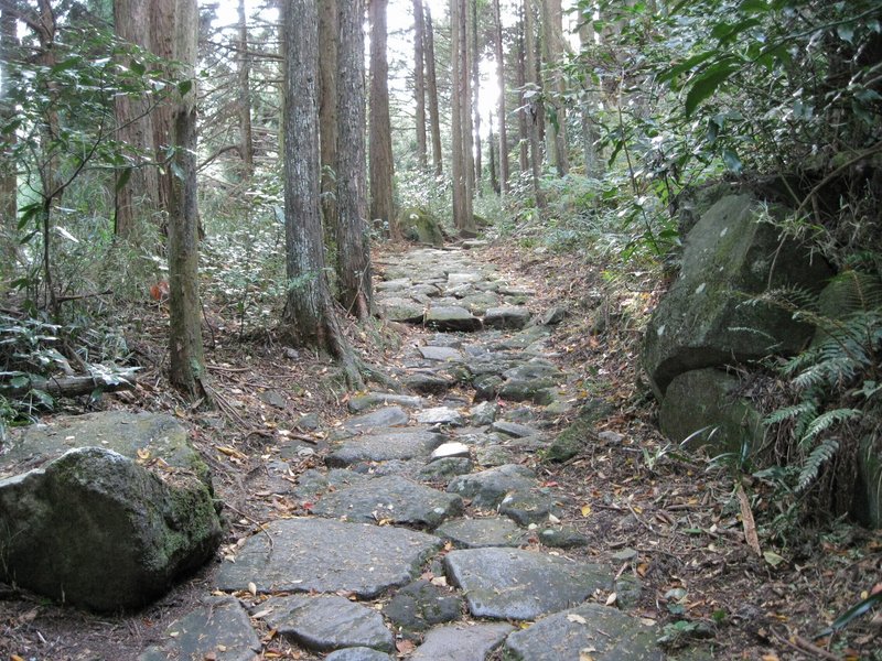 箱根旧街道東坂。江戸期の石畳が残る割石坂。2009年。曽我兄弟が仇討ちの前に試し切りした石があったという。だけど、石を斬ったら刃が欠けるだろうと思うのでした。