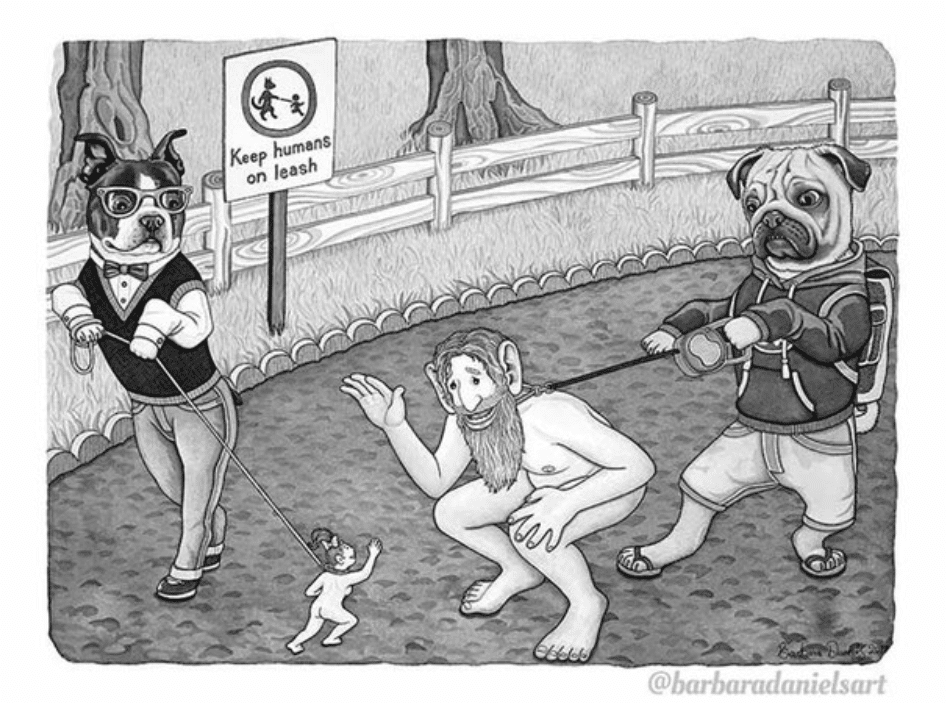 動物と人間の関係が逆転したら｜Shiomin