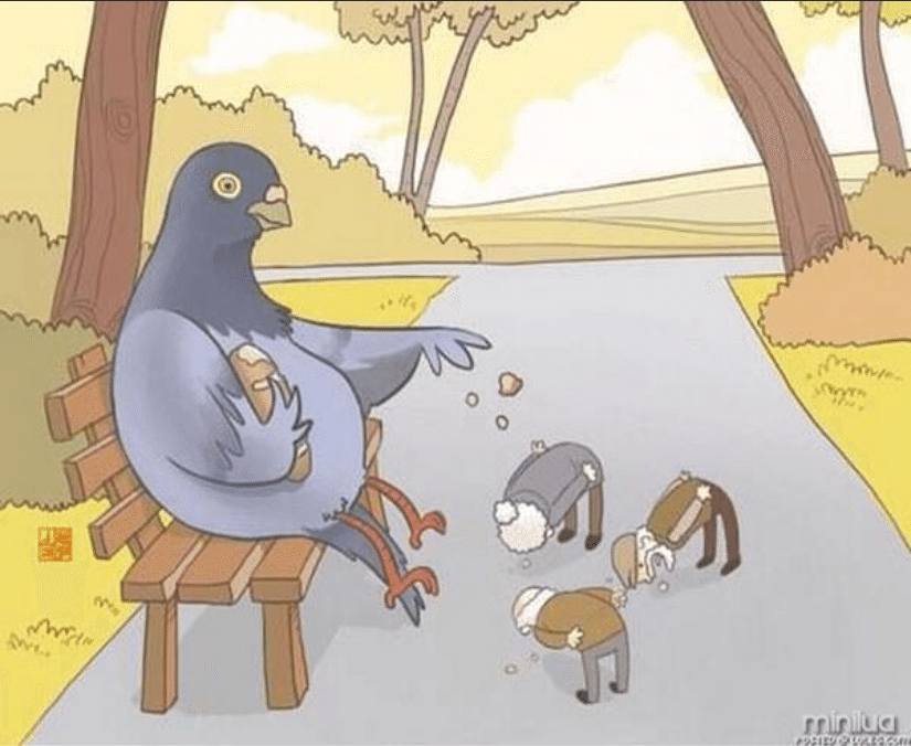人間と動物 動物と人間の関係が逆転したら|Shiomin
