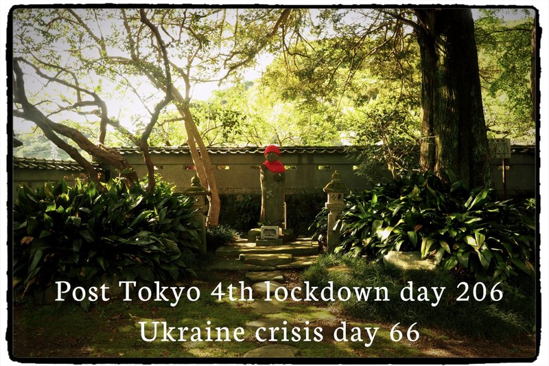 Post Tokyo 4th lockdown day 206, Ukraine crisis day 66　2ヶ月を越えて続く殺戮、この狂気になれてはいけないと思う