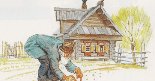 初任でもできる授業シリーズ 音読の授業を楽しく知的に 1年国語 おおきな かぶ あさがお先生 Note 初任でもできる授業シリーズ 音読の授業を楽しく知的に 1年国語 おおきな かぶ あさがお先生 Note