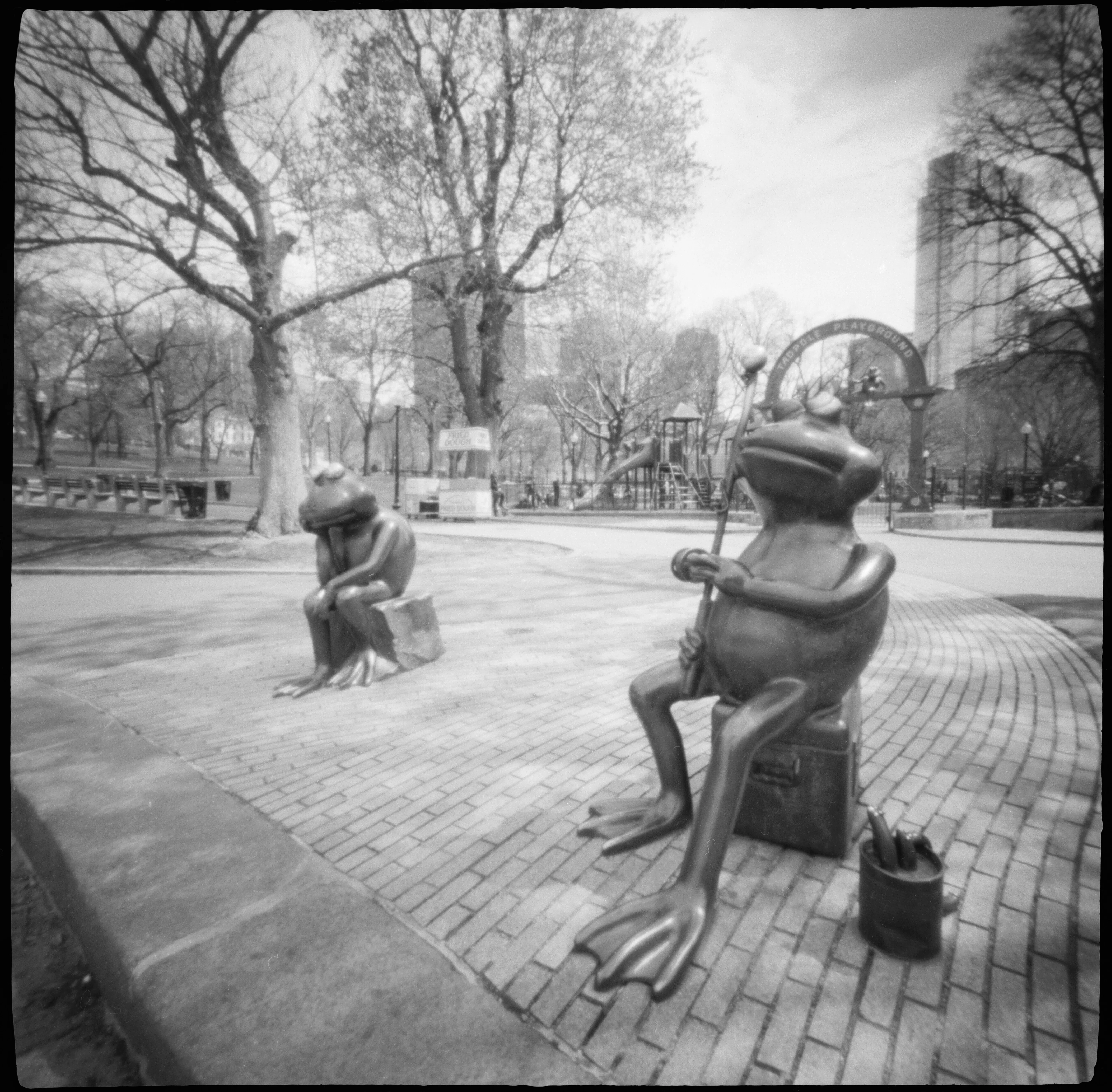 世界ピンホール写真デーは、中判6x6ピンホールカメラZero 2000で針穴
