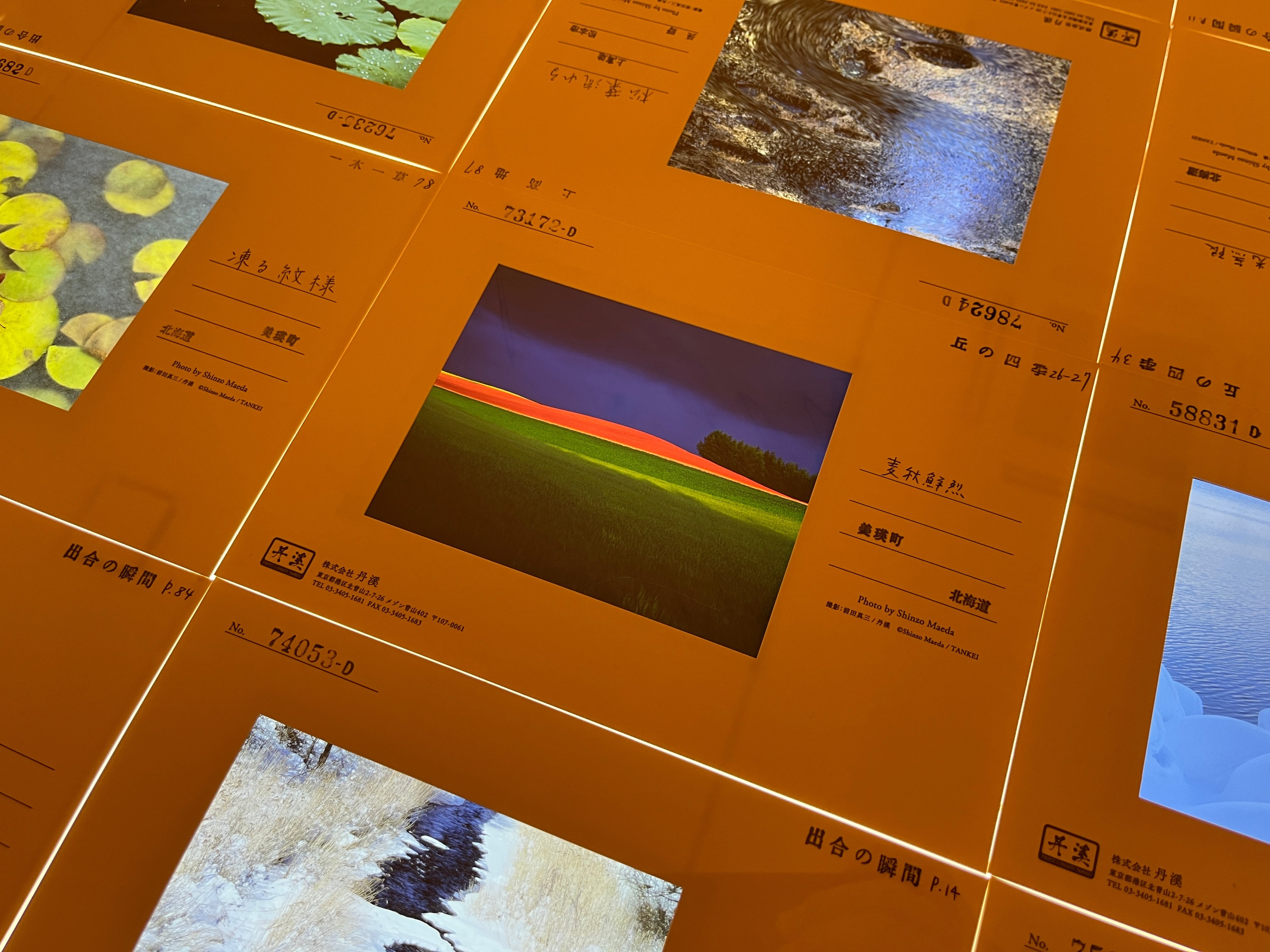 前田真三について語る｜中西敏貴