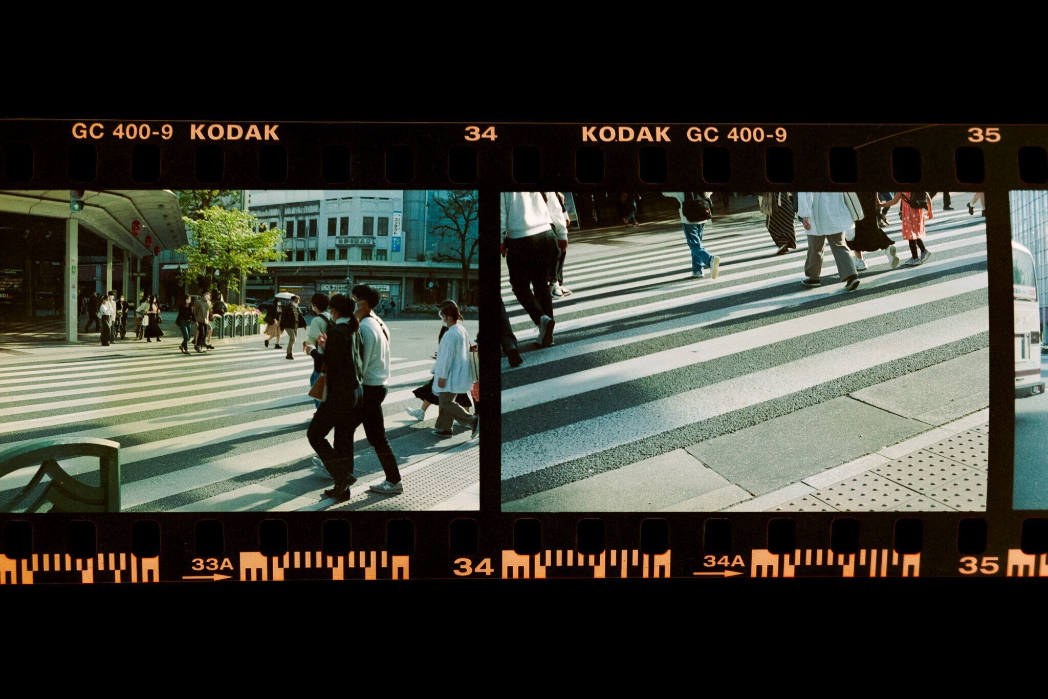 CONTAX G1|みわ CONTAX G1|みわ