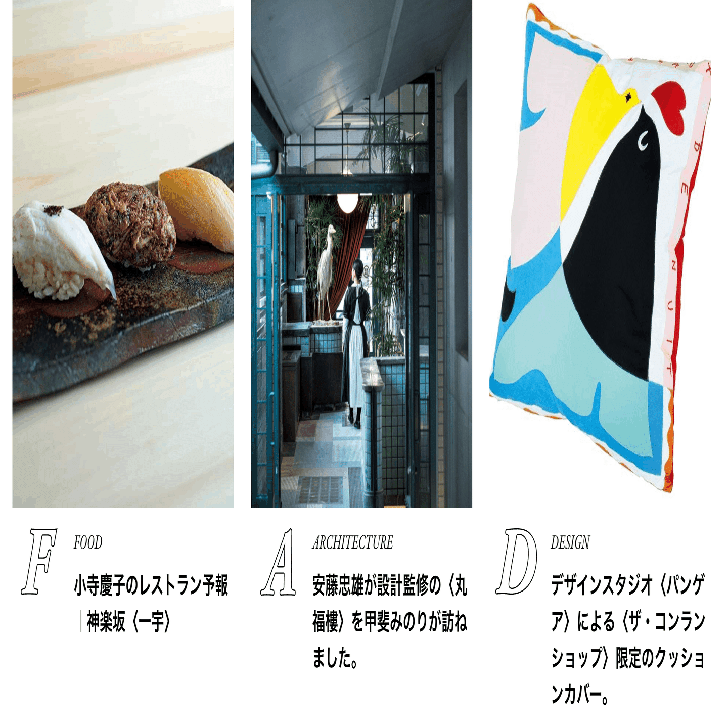 1日1サイトレビュー 087 カーサ ブルータス Casa BRUTUS｜izawa ryosuke