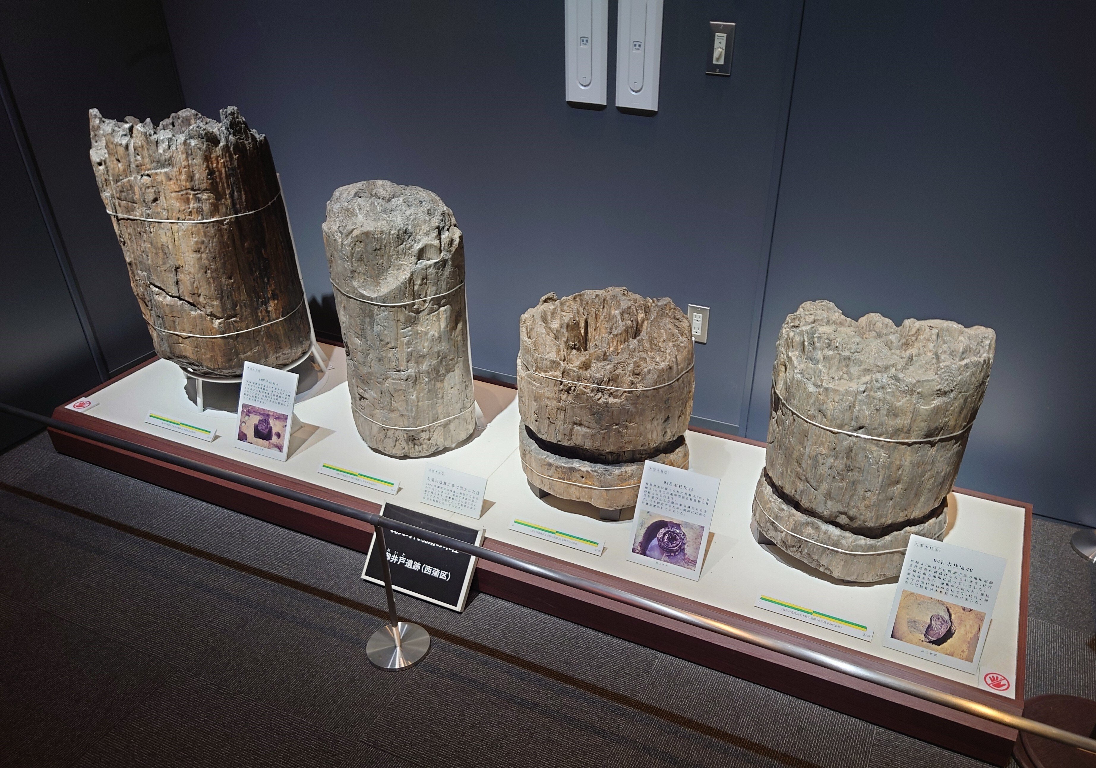 今、縄文が熱い】地味にすごい!下越の縄文時代 6施設の展示紹介2｜縄文