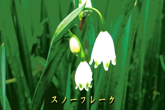 鈴蘭水仙 の新着タグ記事一覧 Note つくる つながる とどける