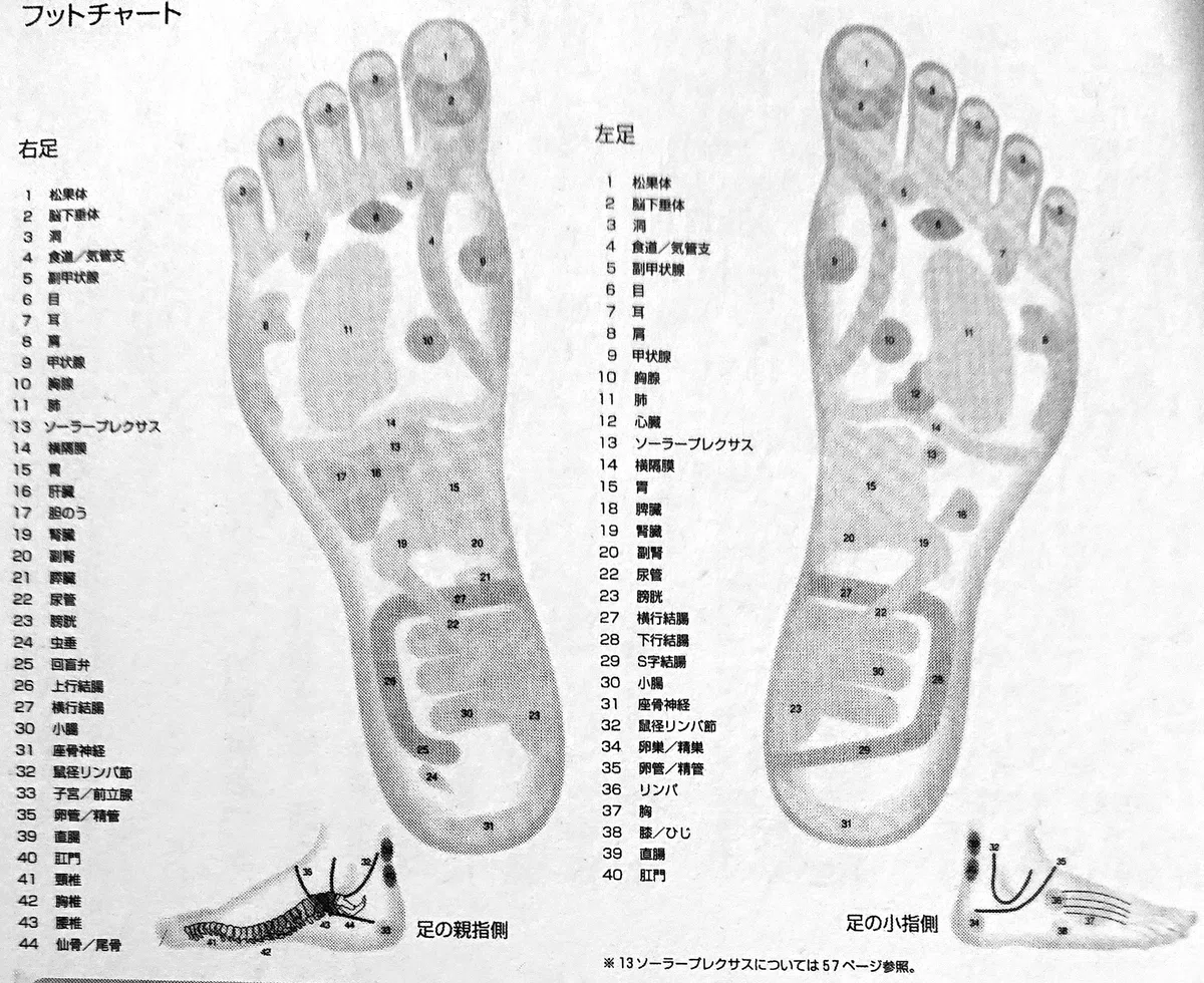 足ツボ」ことリフレクソロジーの起源は中国ではなく二十世紀アメリカ