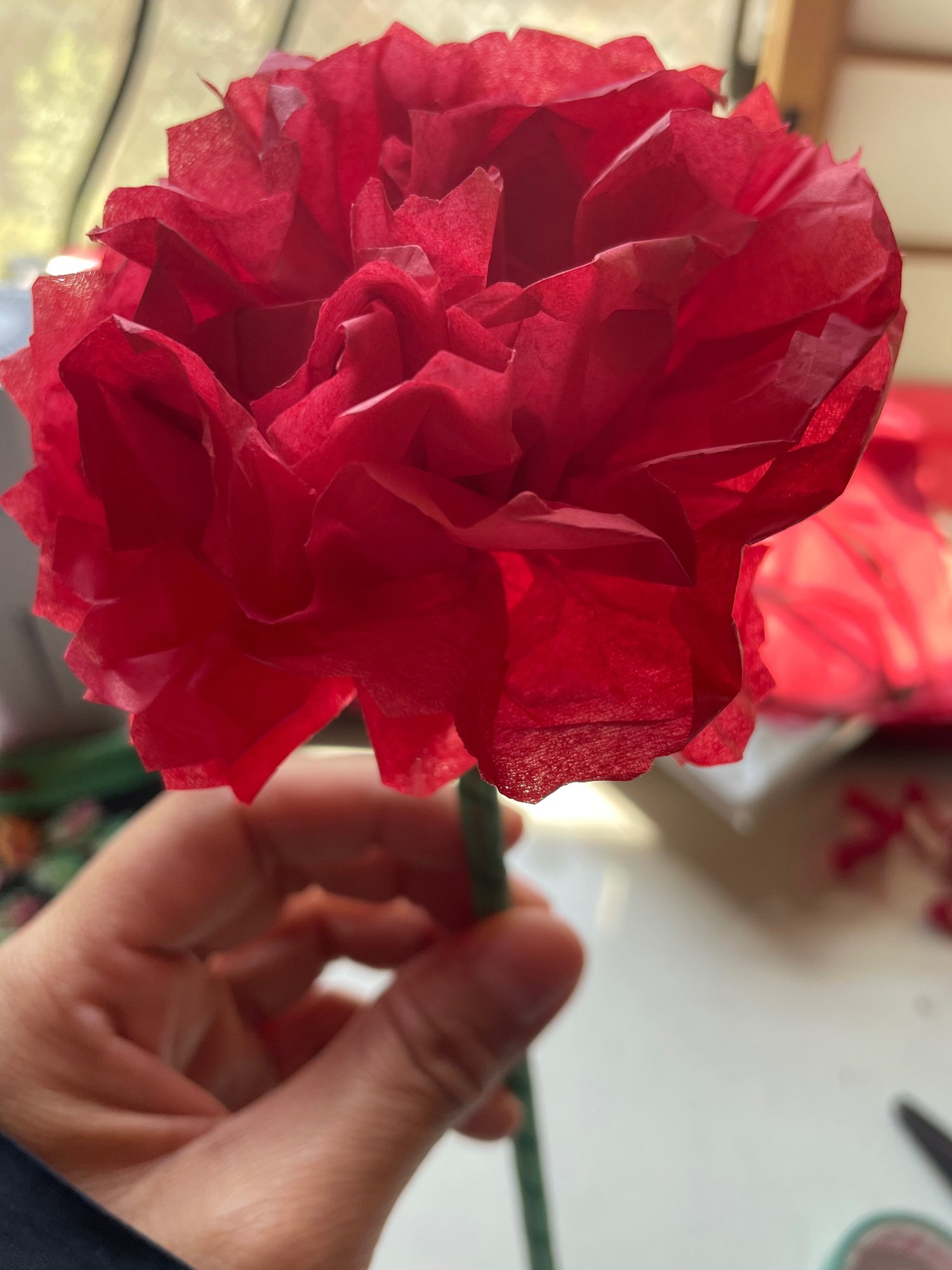 お花紙deカーネーションの作り方 色いろ遊びすと じぶんと繋がる5色じかん Note お花紙deカーネーションの作り方 色いろ遊びすと じぶんと繋がる5色じかん Note