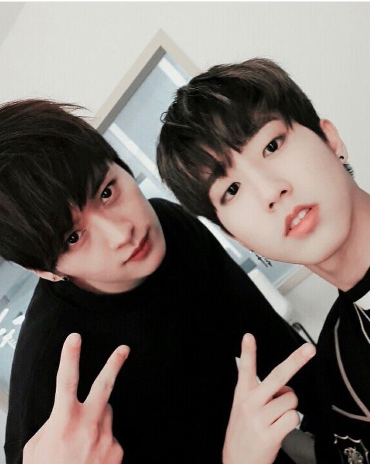 今月限定 StrayKids スキズ ハイタッチ券 リノ ハン 味噌 CD