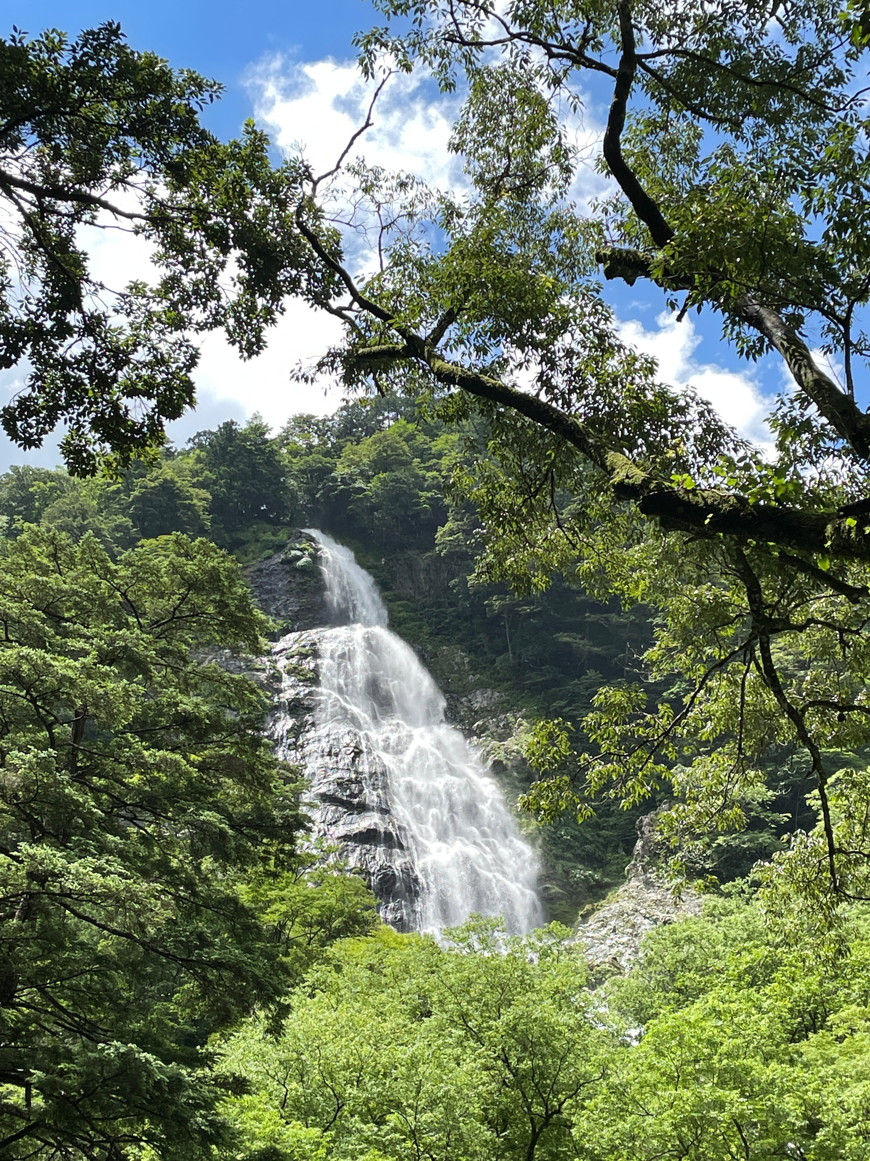 大杉谷の見所｜大杉谷登山センター
