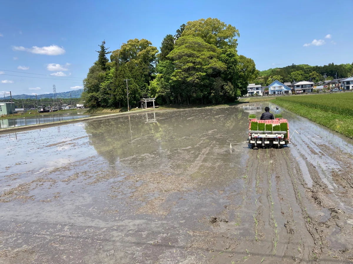 画像