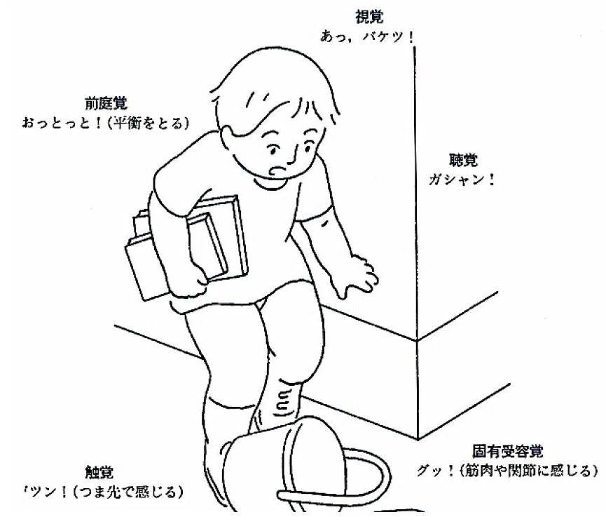 自閉をひらく―母子関係の発達障害と感覚統合訓練 【公式通販】