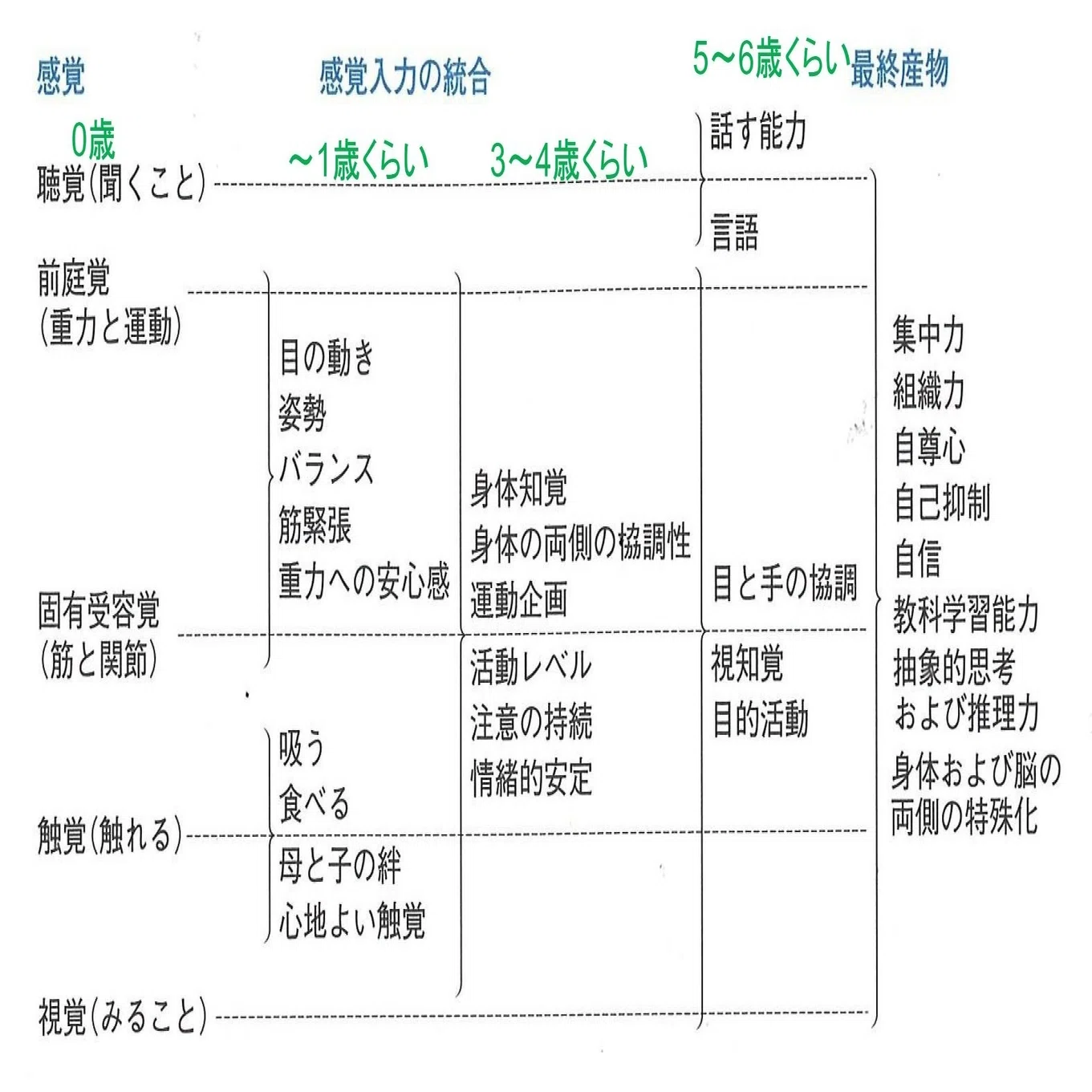 自閉症の子どもに必要な感覚統合とは⁉いつか大人になることを見据えて 